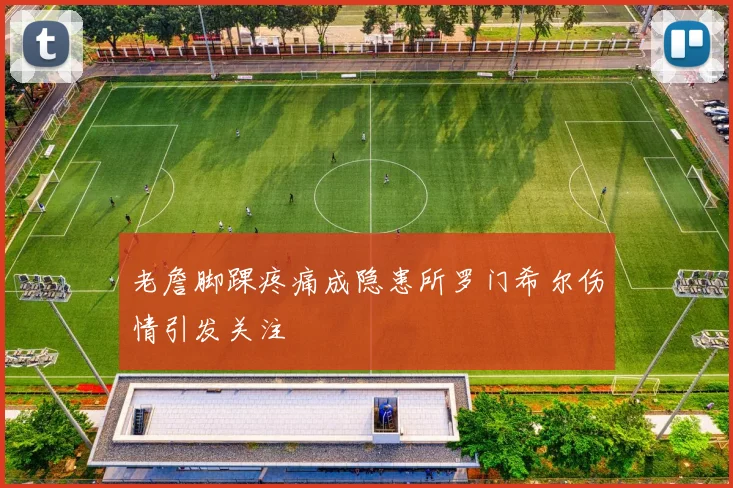 老詹脚踝疼痛成隐患所罗门希尔伤情引发关注