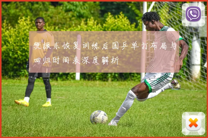樊振东恢复训练后国乒单打布局与回归时间表深度解析